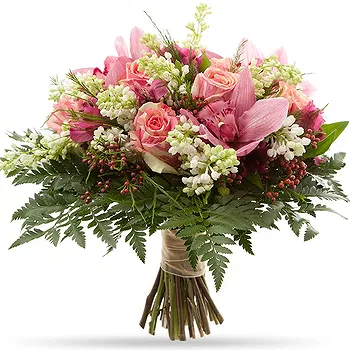 Holland flowers  -  Morning Glory Flower Delivery