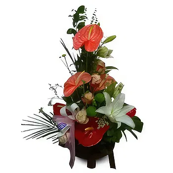 flores de Zaragoza- Simplesmente elegante Flor Entrega
