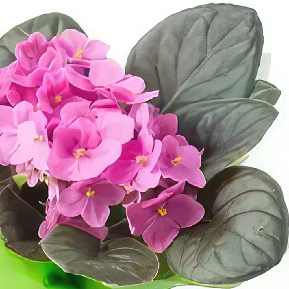 Рио де Жанейро цветя- Виолетова ваза за подарък Букет/договореност цвете