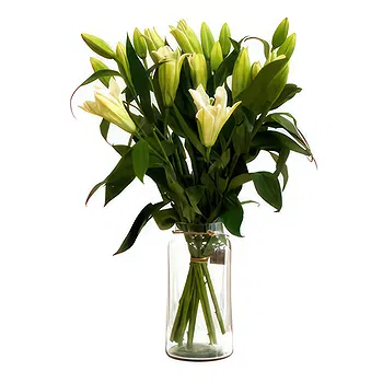 Denmark flowers  -  Rich Selection Flower Delivery