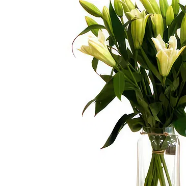 Aalborg blomster- Rikt utvalg Blomsterarrangementer bukett
