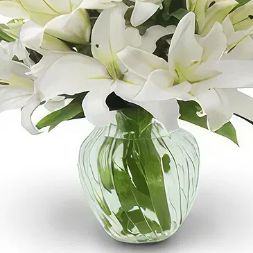 fiorista fiori di Cao Bằng- Sorriso sereno Bouquet floreale