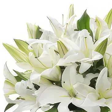 fiorista fiori di Cao Bằng- Sorriso sereno Bouquet floreale