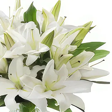 fiorista fiori di Cao Bằng- Sorriso sereno Bouquet floreale