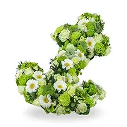 Zande Online Florist - Lime Time Bukett