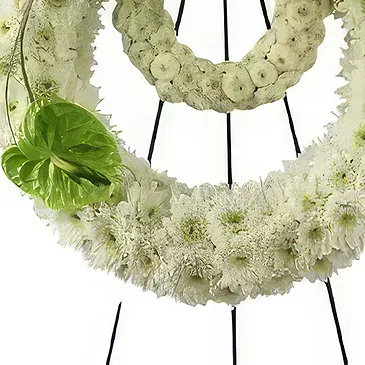 El Toronjo flowers  -  Wreath of Peace Forever Flower Bouquet/Arrangement
