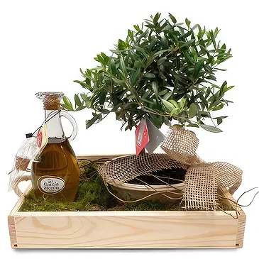 Cala Llonga flowers  -  Green Branch Flower Bouquet/Arrangement