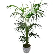 Cala Llonga online Florist - Green Fusion Bouquet