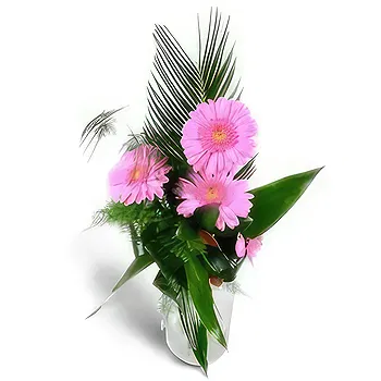 Kravino flowers  -  Naughty Pink Flower Delivery