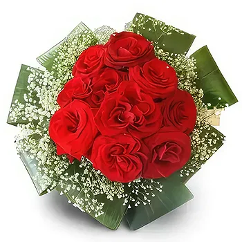 Poland flowers  -  Plane Red Flower Delivery