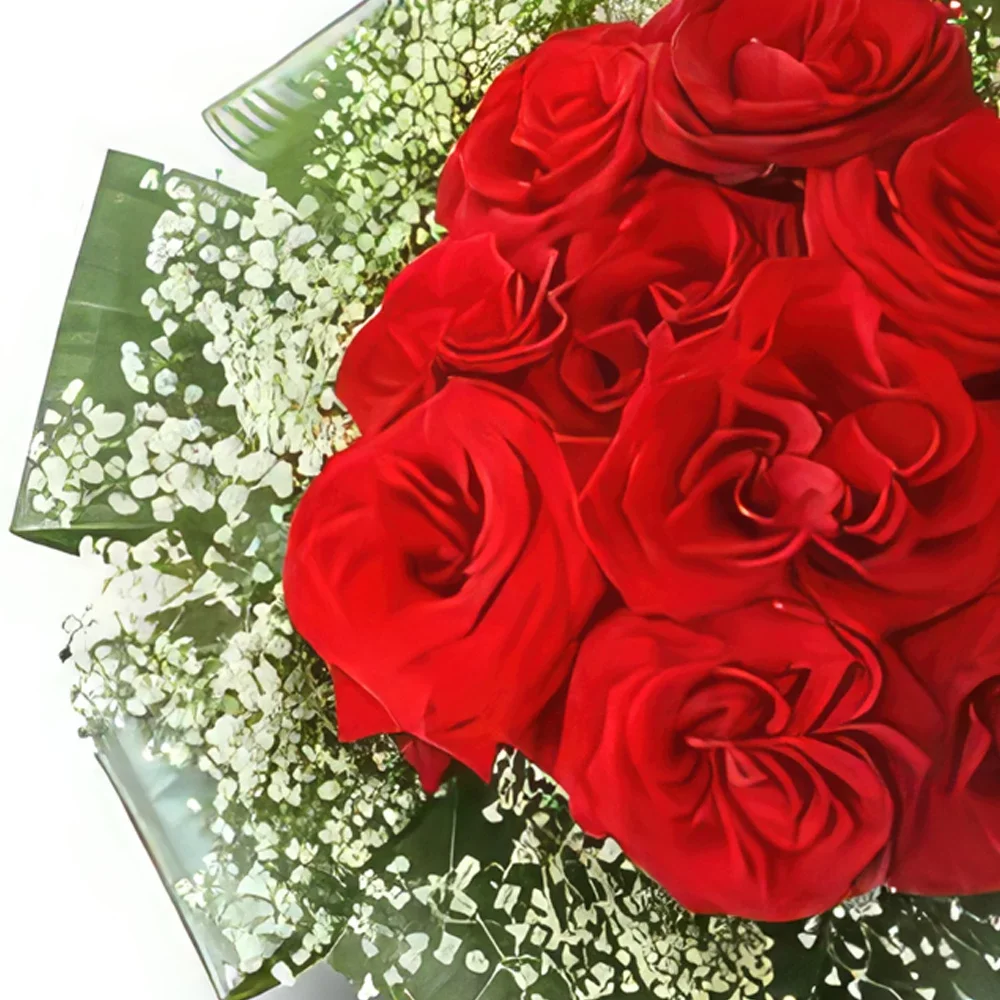 fiorista fiori di Krakow- Rosso aereo Bouquet floreale