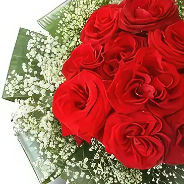 Wroclaw flowers  -  Plane Red Flower Bouquet/Arrangement