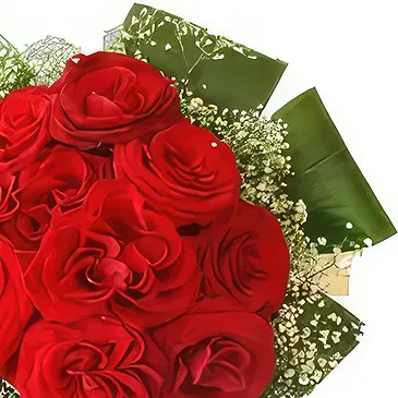 Wroclaw flowers  -  Plane Red Flower Bouquet/Arrangement