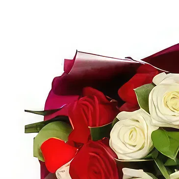 بائع زهور أسينوفيتش- مفتون إلى الصميم باقة الزهور