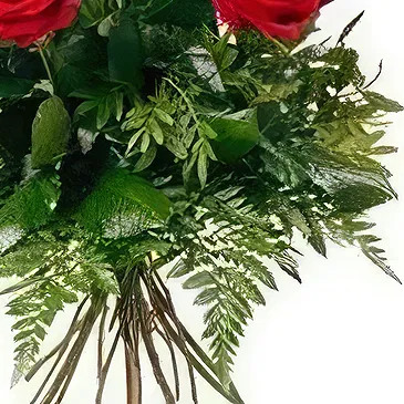 Prokuplje flowers  -  Lush Red Roses Flower Bouquet/Arrangement