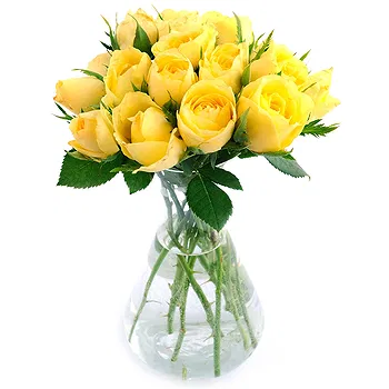 Holland flowers  -  12 Yellow Roses Bouquet Flower Delivery
