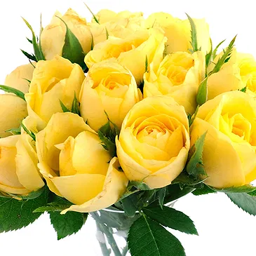 Oman flowers  -  12 Yellow Roses Bouquet Flower Bouquet/Arrangement