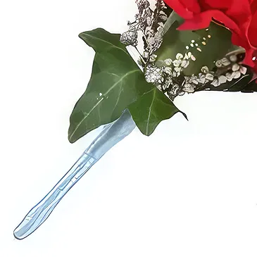 Cabo Balanco blommor- Nejlika knapphål Bukett/blomsterarrangemang