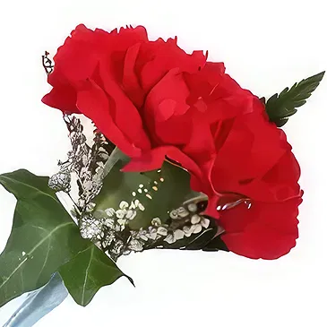 Cabo Balanco blommor- Nejlika knapphål Bukett/blomsterarrangemang