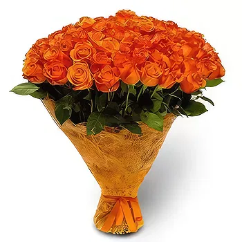 Kravino flowers  -  Color Burst Flower Delivery