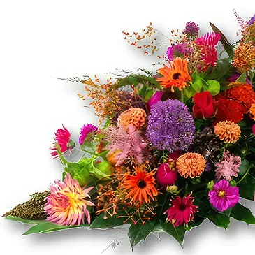 Holland flowers  -  Full Coffin Cover Colorful 180-200 cm Flower Bouquet/Arrangement