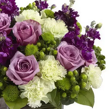 Macuilacatl Chico flowers  -  Eligant Beauty  Flower Bouquet/Arrangement