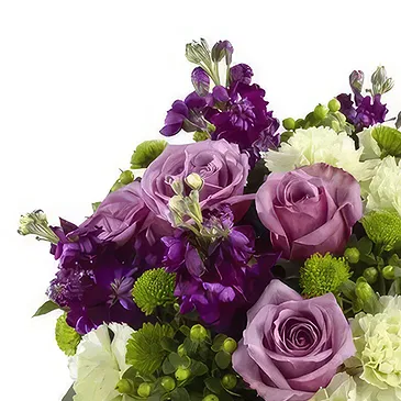 Macuilacatl Chico flowers  -  Eligant Beauty  Flower Bouquet/Arrangement