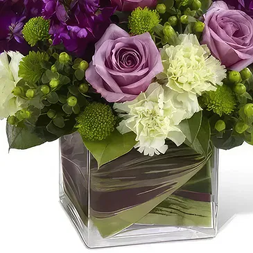 Macuilacatl Chico flowers  -  Eligant Beauty  Flower Bouquet/Arrangement