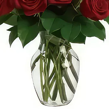 Sitrah blommor- 12 röda rosor Bukett/blomsterarrangemang