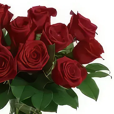 Sitrah blommor- 12 röda rosor Bukett/blomsterarrangemang