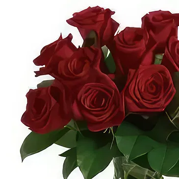 Sitrah blommor- 12 röda rosor Bukett/blomsterarrangemang