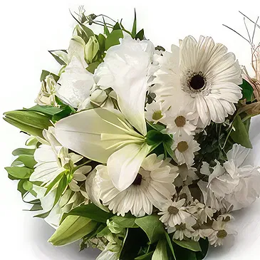 Chile flowers  -  White Field Flowers Bouquet Flower Bouquet/Arrangement