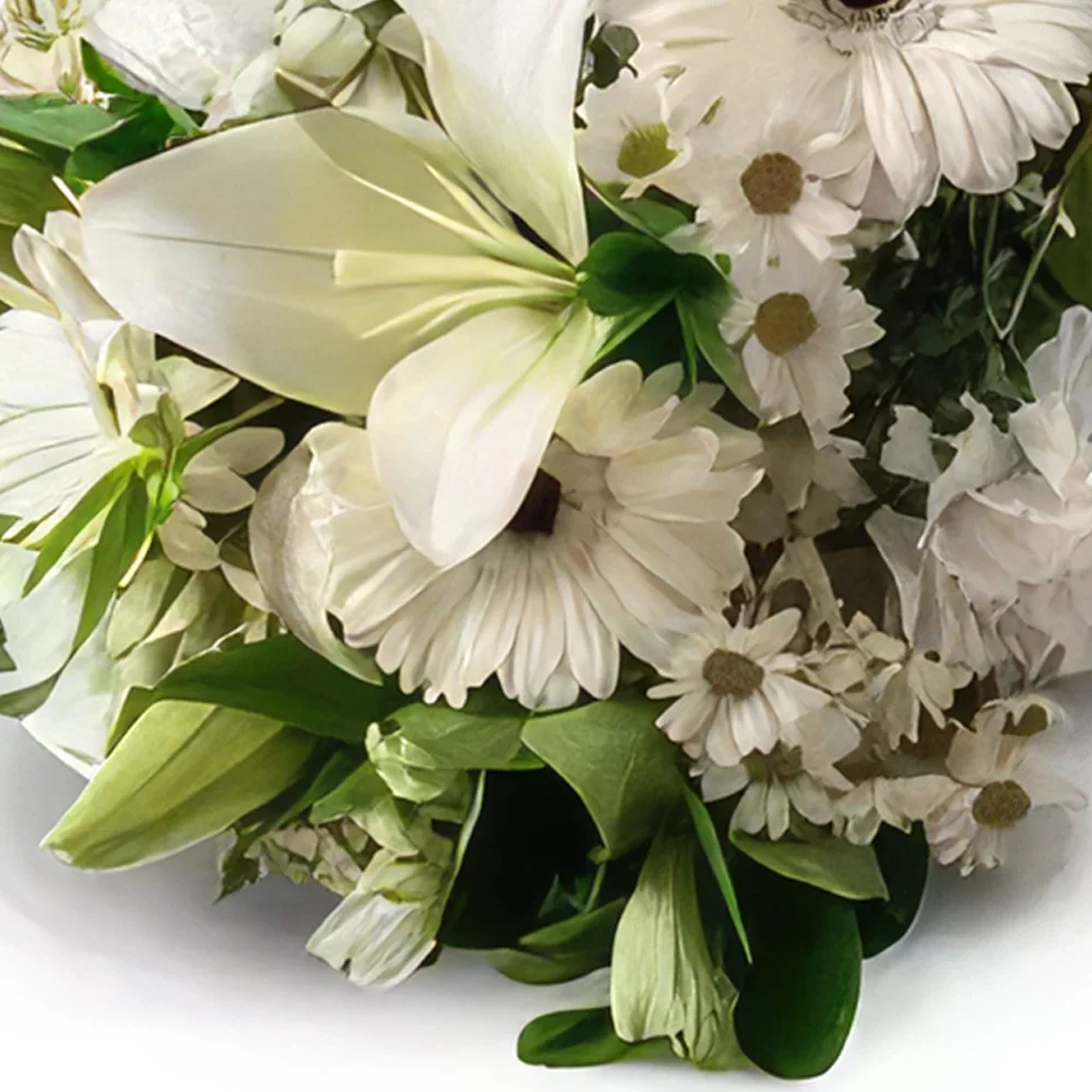 Belém kvety- Biele pole Kvety Kytice Aranžovanie kytice