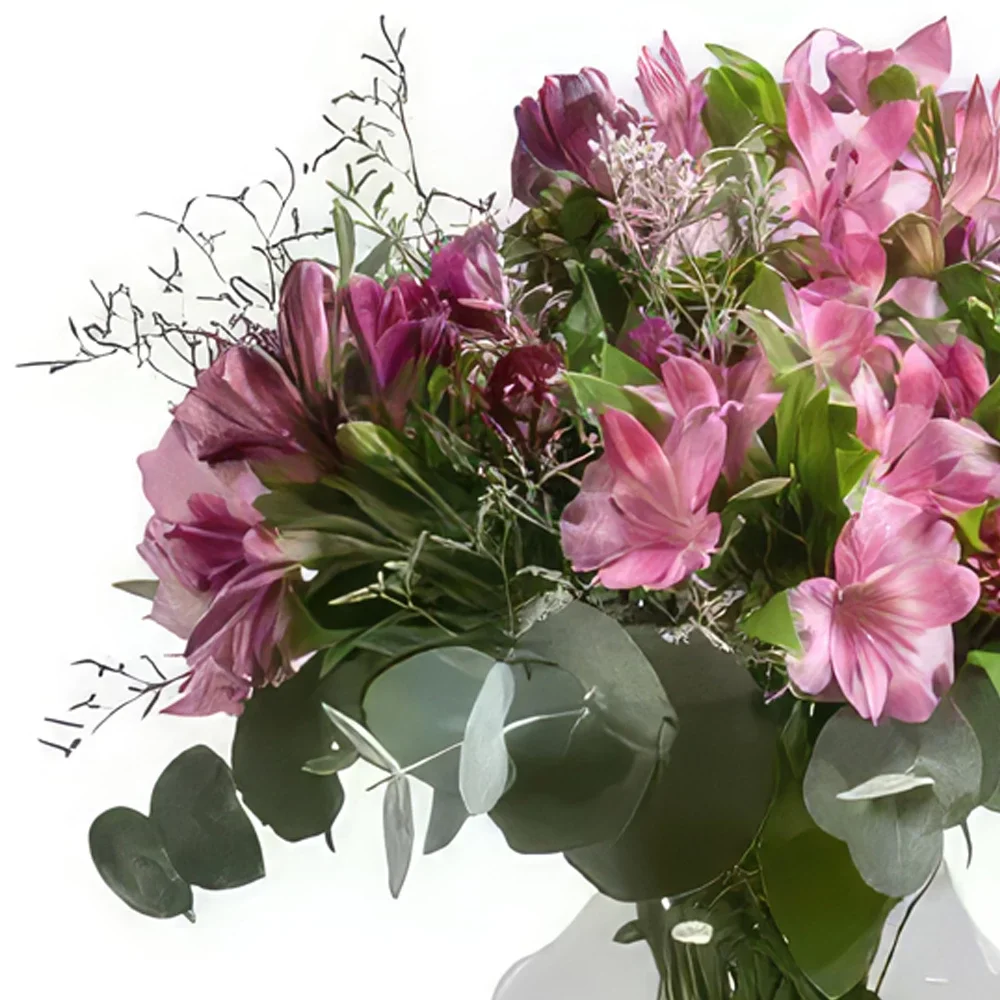 بائع زهور توريمولينوس- صداقة باقة الزهور