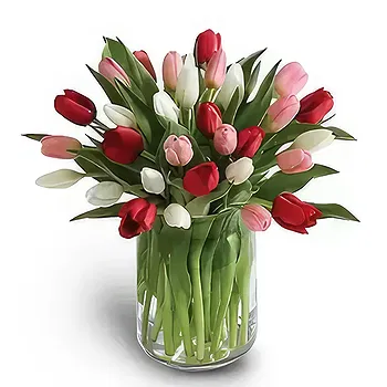 fleuriste fleurs de Hauteurs de Barsha- Bonheur Fleur Livraison