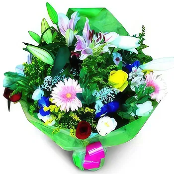 flores de Zaragoza- Vibrações positivas Flor Entrega