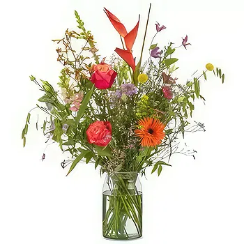 Denmark flowers  -  Get well soon Flower Delivery