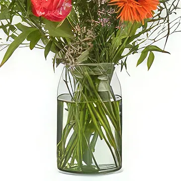 Denmark flowers  -  Get well soon Flower Bouquet/Arrangement