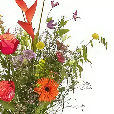 Denmark flowers  -  Get well soon Flower Bouquet/Arrangement