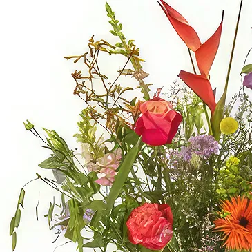 Denmark flowers  -  Get well soon Flower Bouquet/Arrangement