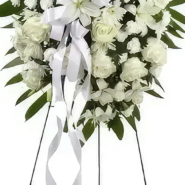 Gonzalez Ortega 1 flowers  -  Peace And Happiness Flower Bouquet/Arrangement