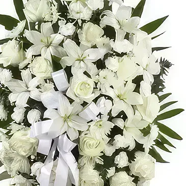 Gonzalez Ortega 1 flowers  -  Peace And Happiness Flower Bouquet/Arrangement
