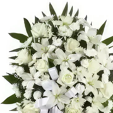 Gonzalez Ortega 1 flowers  -  Peace And Happiness Flower Bouquet/Arrangement