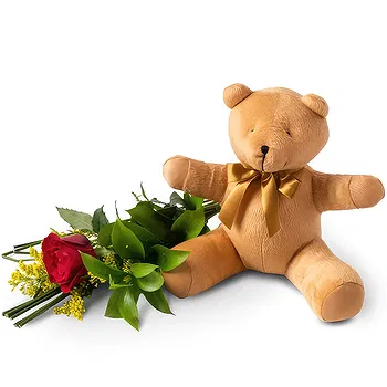 Brazil flowers  -  Red and Teddybear Lonely Rose Delivery