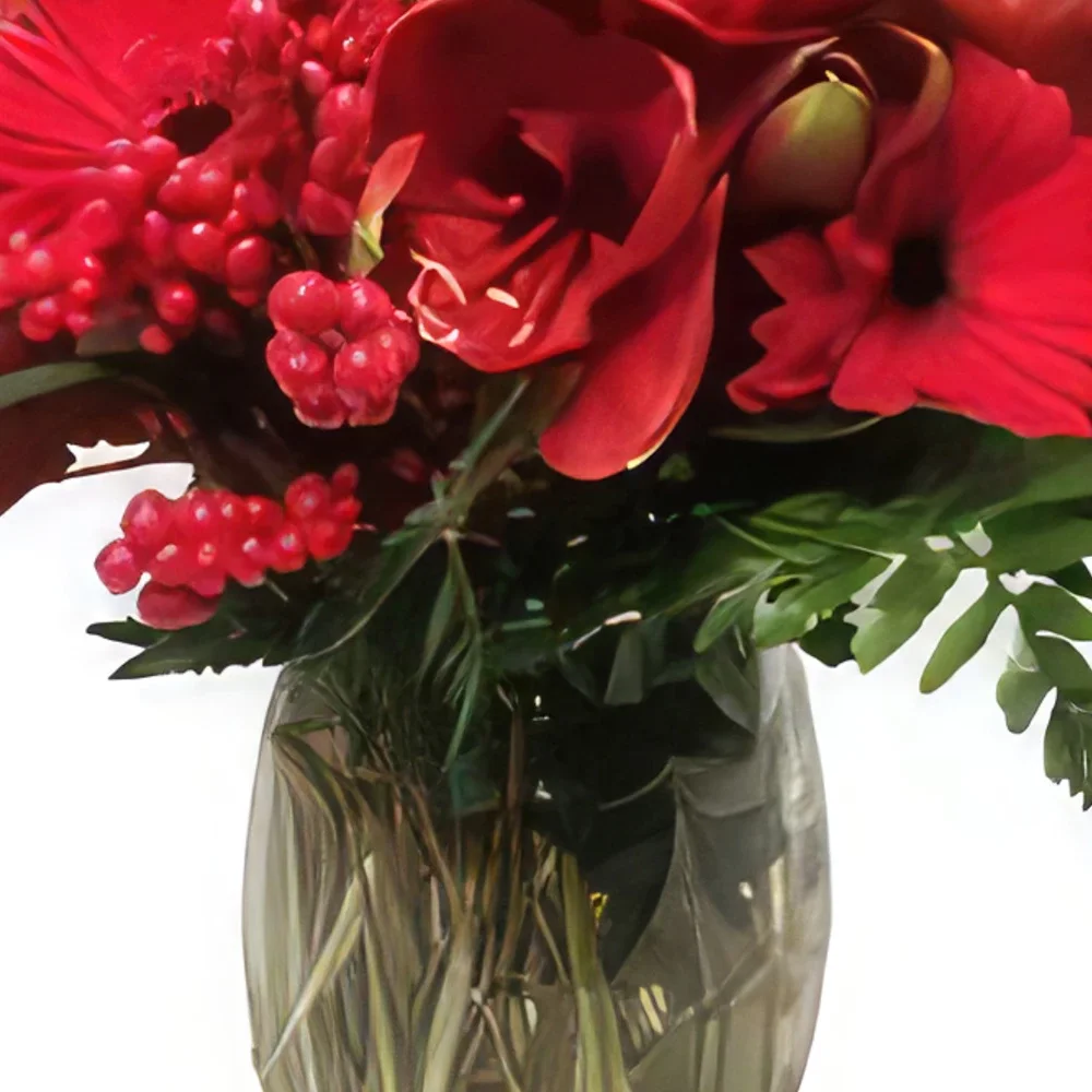 מדריד פרחים- אדום בסיסי זר פרחים/סידור פרחים