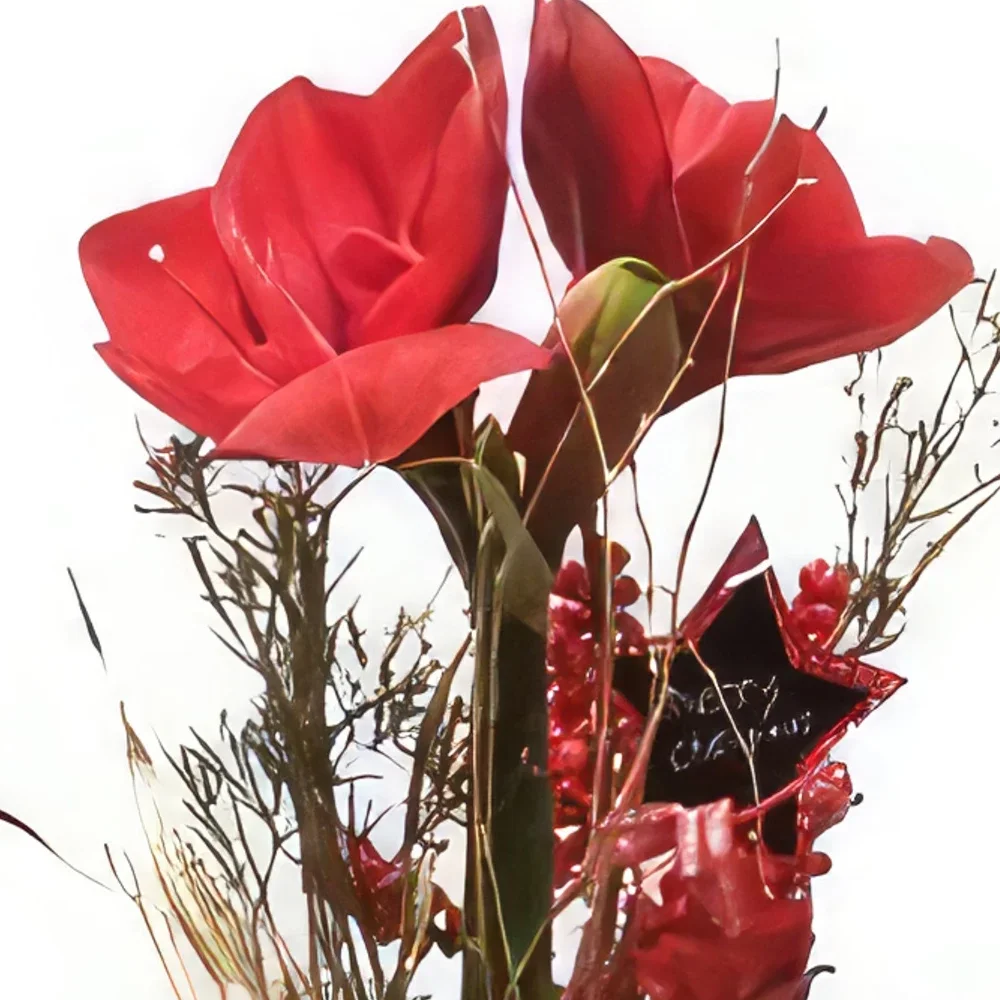 بائع زهور مدريد- الأحمر الأساسي باقة الزهور
