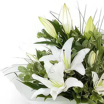 Olympia flowers  -  A New Day Flower Bouquet/Arrangement