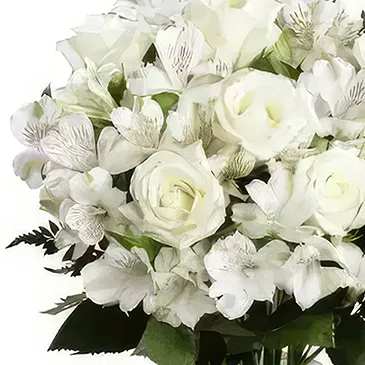 Tenextipa flowers  -  Peace Flower Bouquet/Arrangement