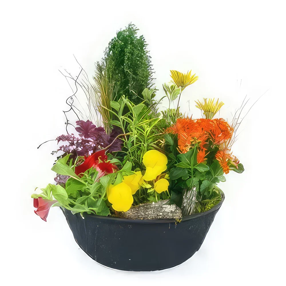 Στρασβούργο λουλούδια- Κοπή Πένθιμου Φυτού Ηλίανθου Μπουκέτο/ρύθμιση λουλουδιών