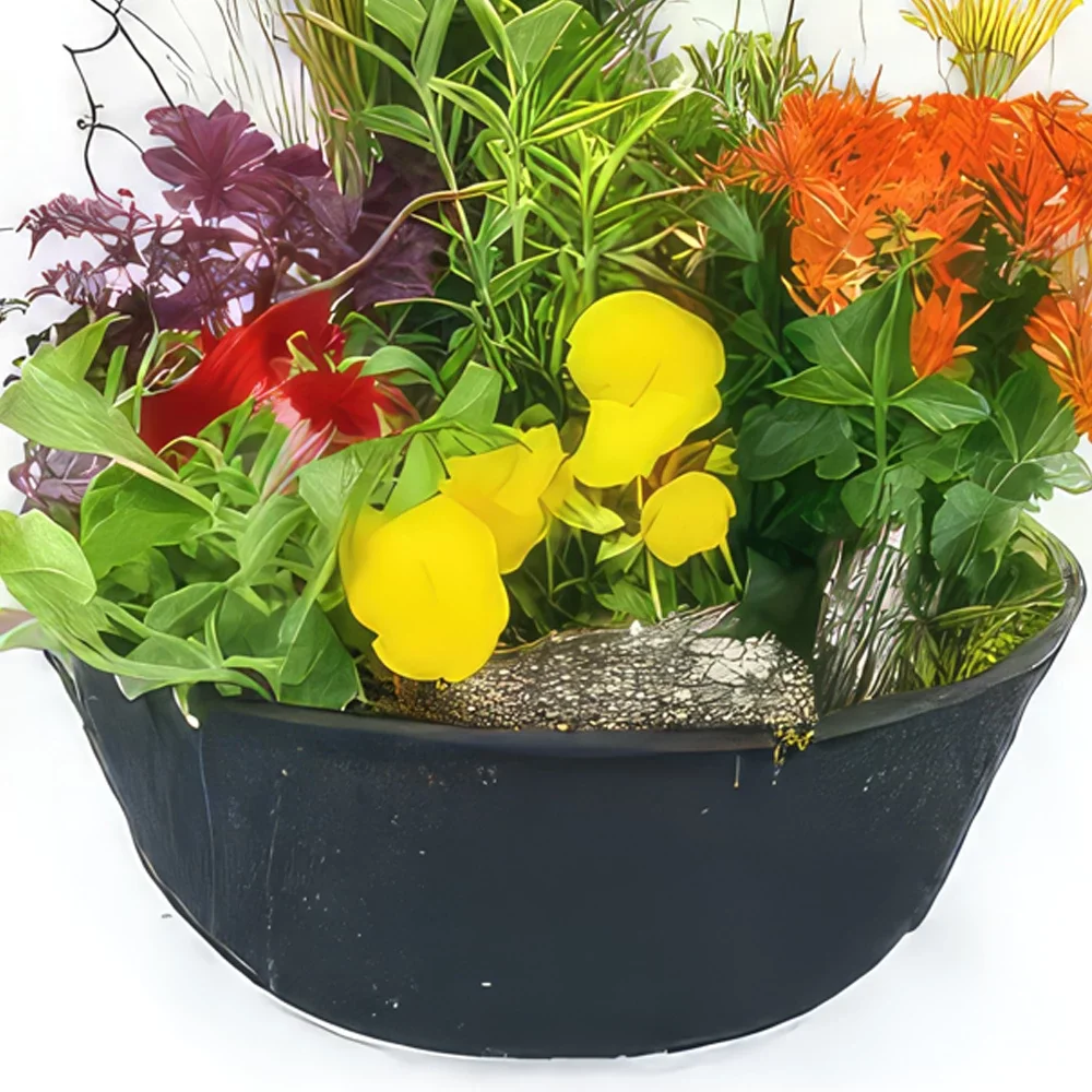 nett Blumen Florist- Helianthus Trauerpflanze schneiden Bouquet/Blumenschmuck